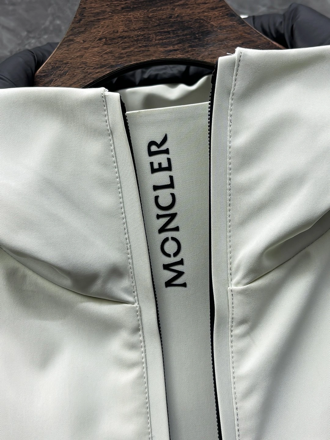 wg.luxury-- 7o9385r Down jacket goose down Gore-tex尼龙纤维面料 2colour item:E-F290J2223-2H